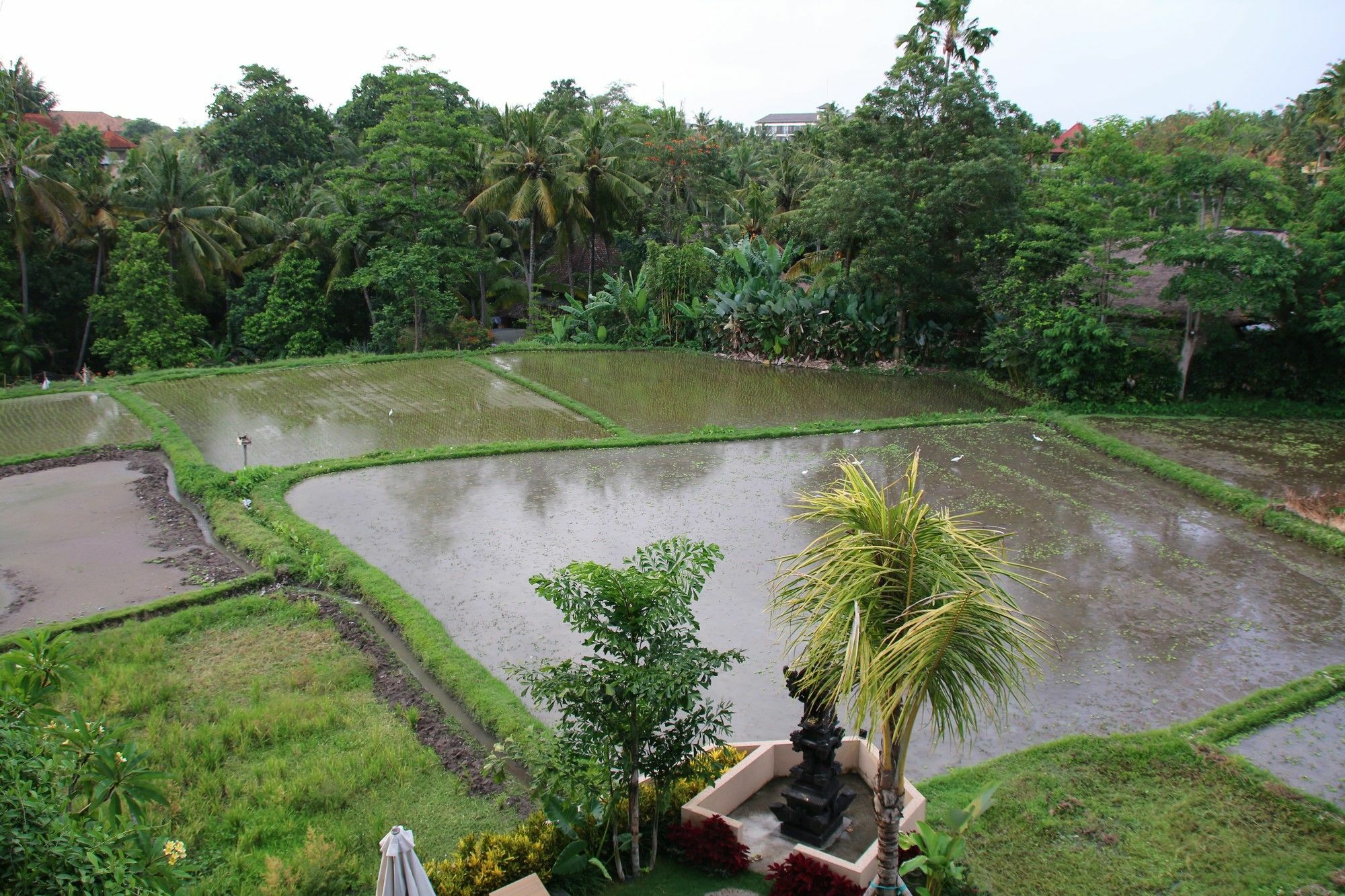 Byasa Ubud Zewnętrze zdjęcie