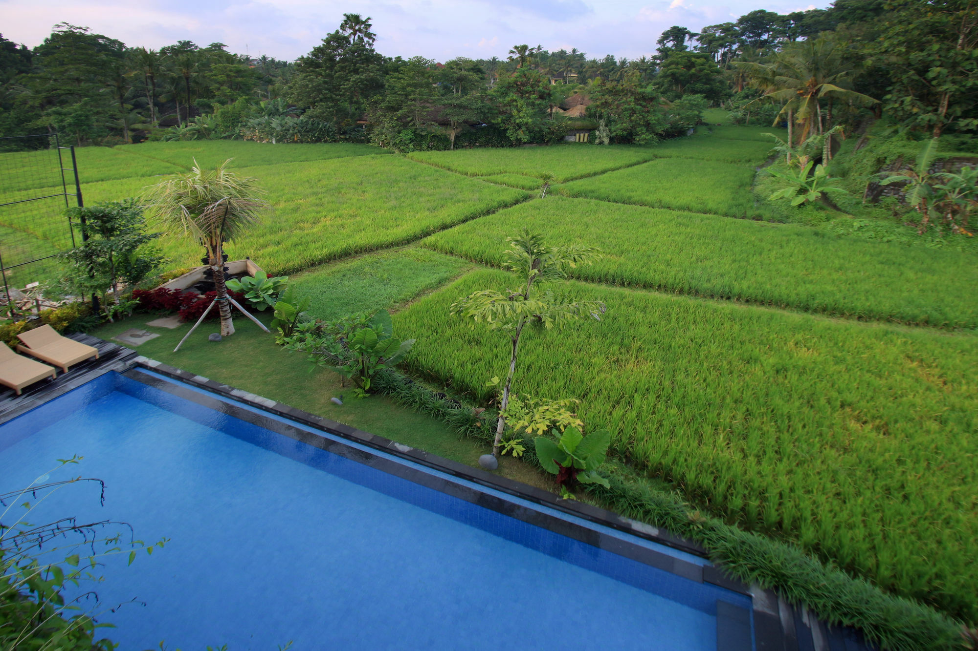 Byasa Ubud Zewnętrze zdjęcie